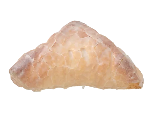 白桃ジャムパイ｜宮崎・鹿児島のセブンイレブンパン by モンドール